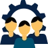 Professional Team